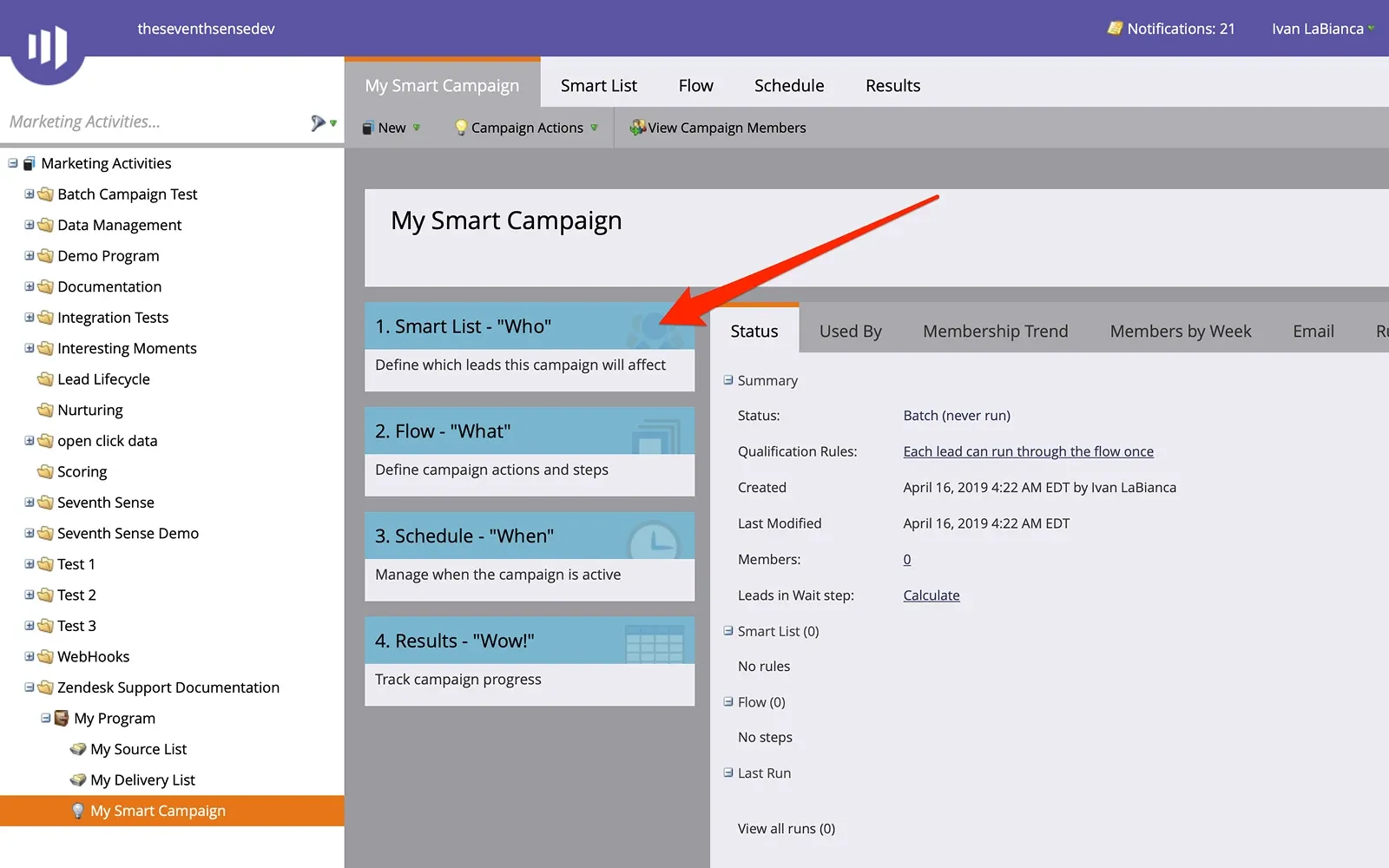 Marketo showing a Smart Campaign with its trigger and filter set